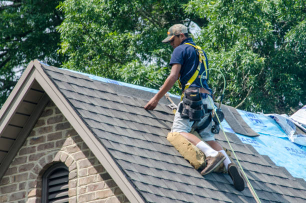 Quick and Trustworthy Emergency Roof Repair Services in La Mesa, CA